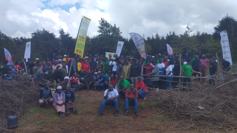 Tree Planting 2023 Kimende
